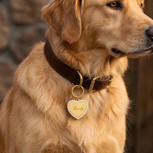 KOKORO — Personalized Stainless Steel Heart Pet Tag