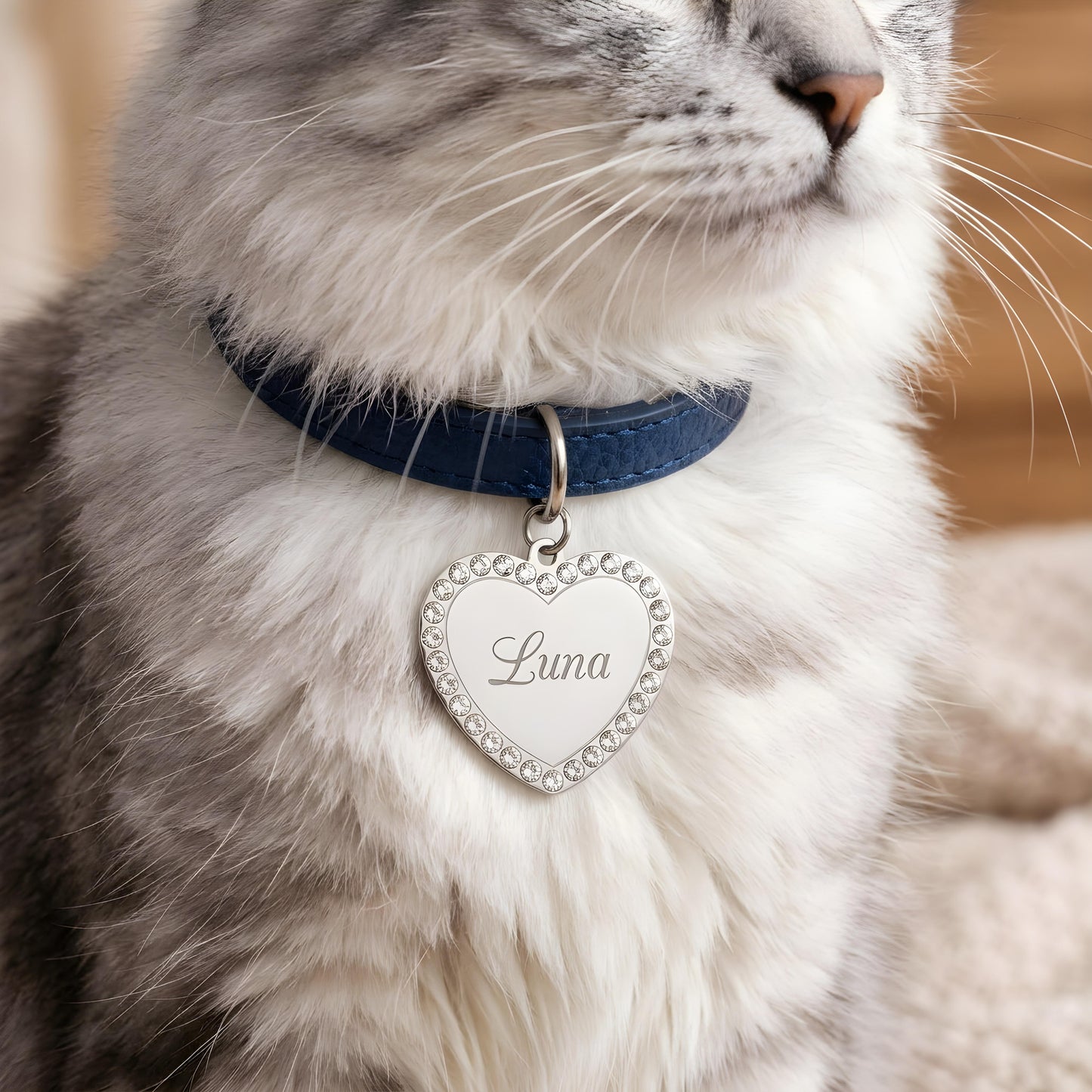 ORIVAN — Personalized Stainless Steel Heart Pet Tag