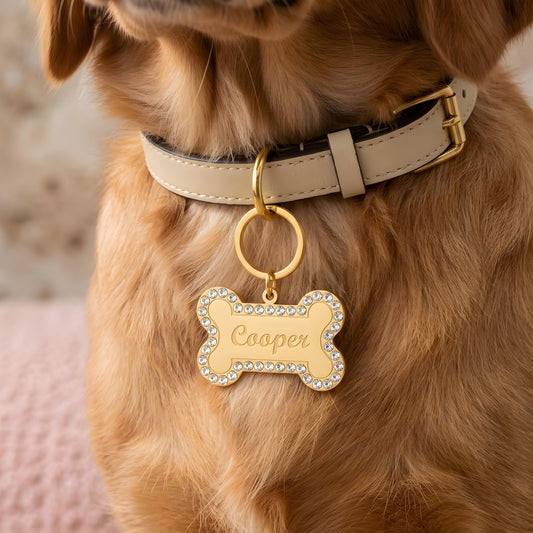 AKIO — Personalized Stainless Steel Pet ID Tag