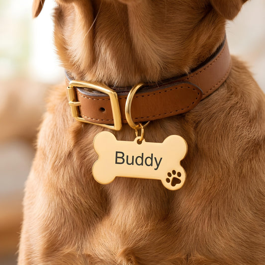 SERENQO — Personalized Stainless Steel Pet ID Tag