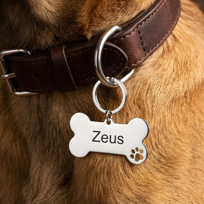 NOVELIS — Personalized Stainless Steel Pet ID Tag